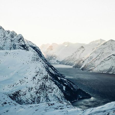 Unik Leilighet I Alesund Sentrum Экстерьер фото